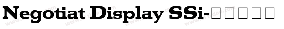 Negotiat Display SSi字体转换